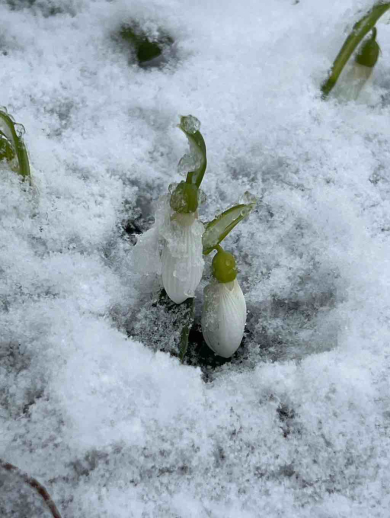 Jaro; foto: Anna Marie Málková